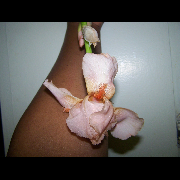 My Blog Image